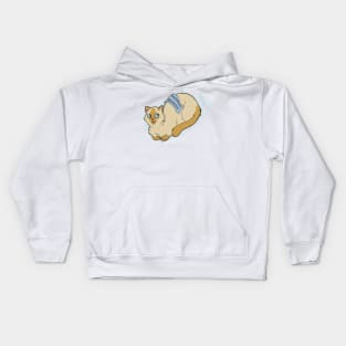 Catloaf: Toasted Brioche (Flame point Siamese) Kids Hoodie